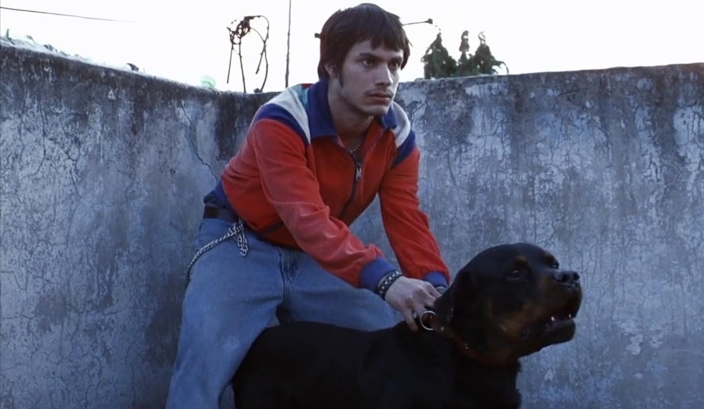 013IFF: Amores Perros